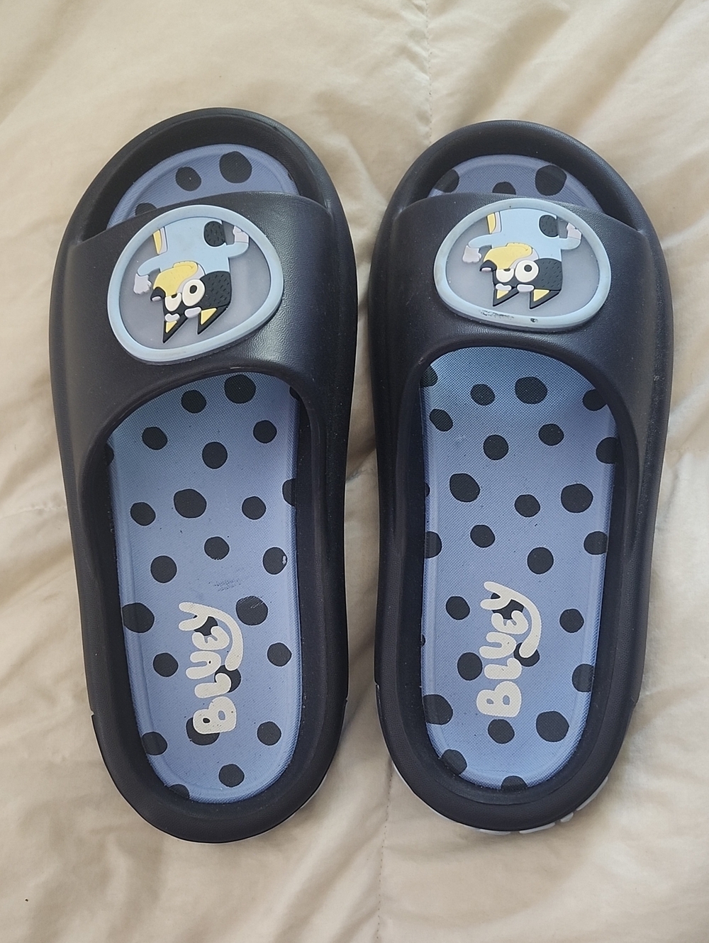 Bluey Men's Navy Blue Slip-On Sandals
